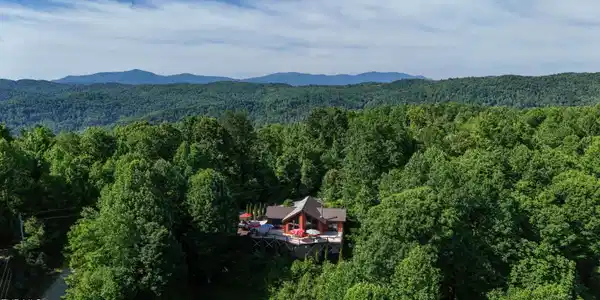 Image 2: Aerial View