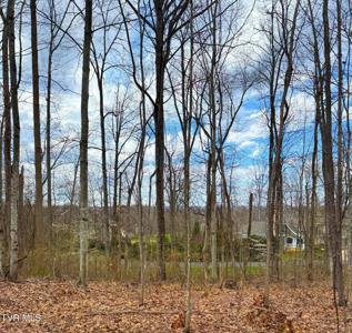 Lot 22 Stonewall Ridge