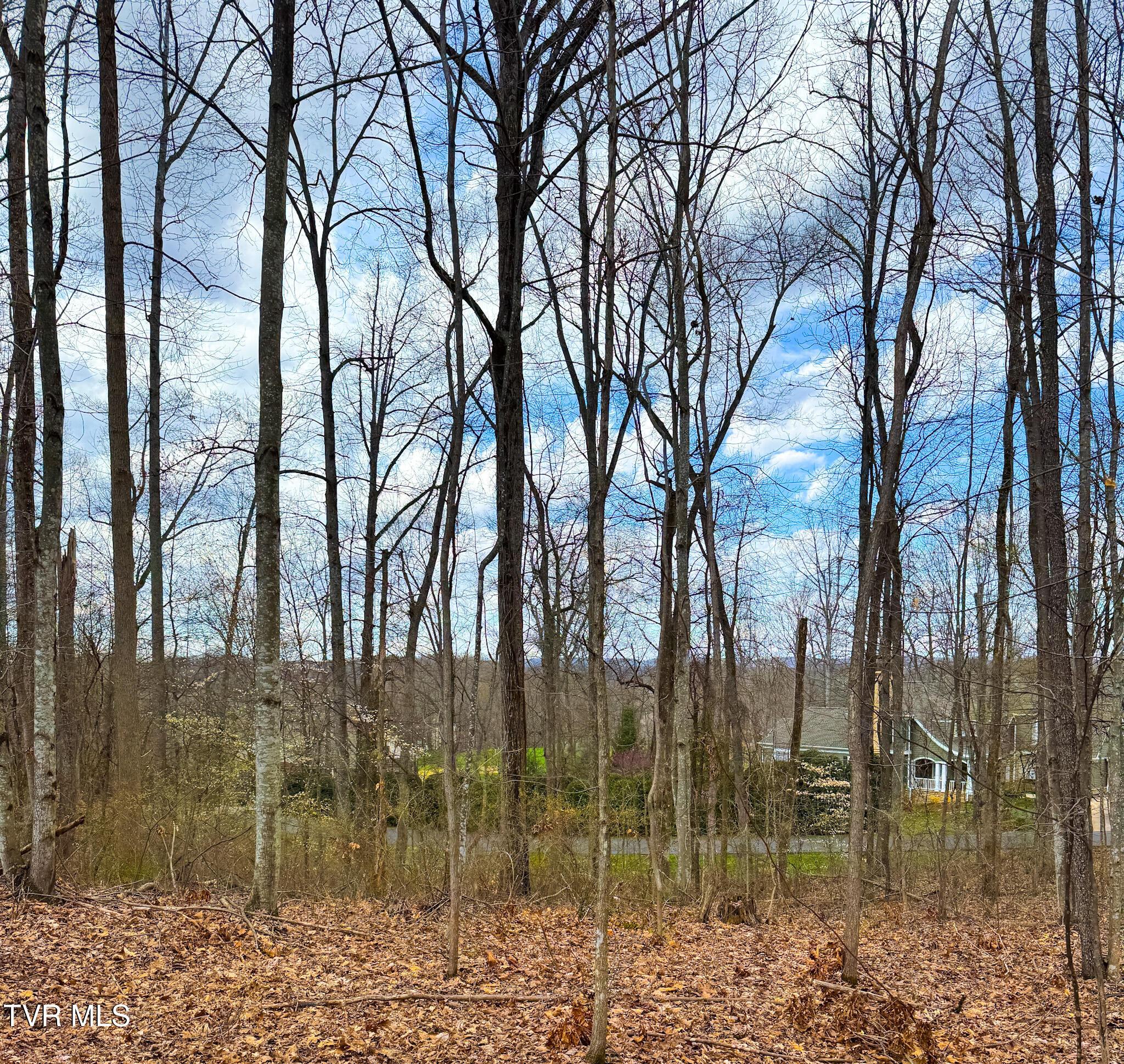 Image 1: Lot 22 Street View