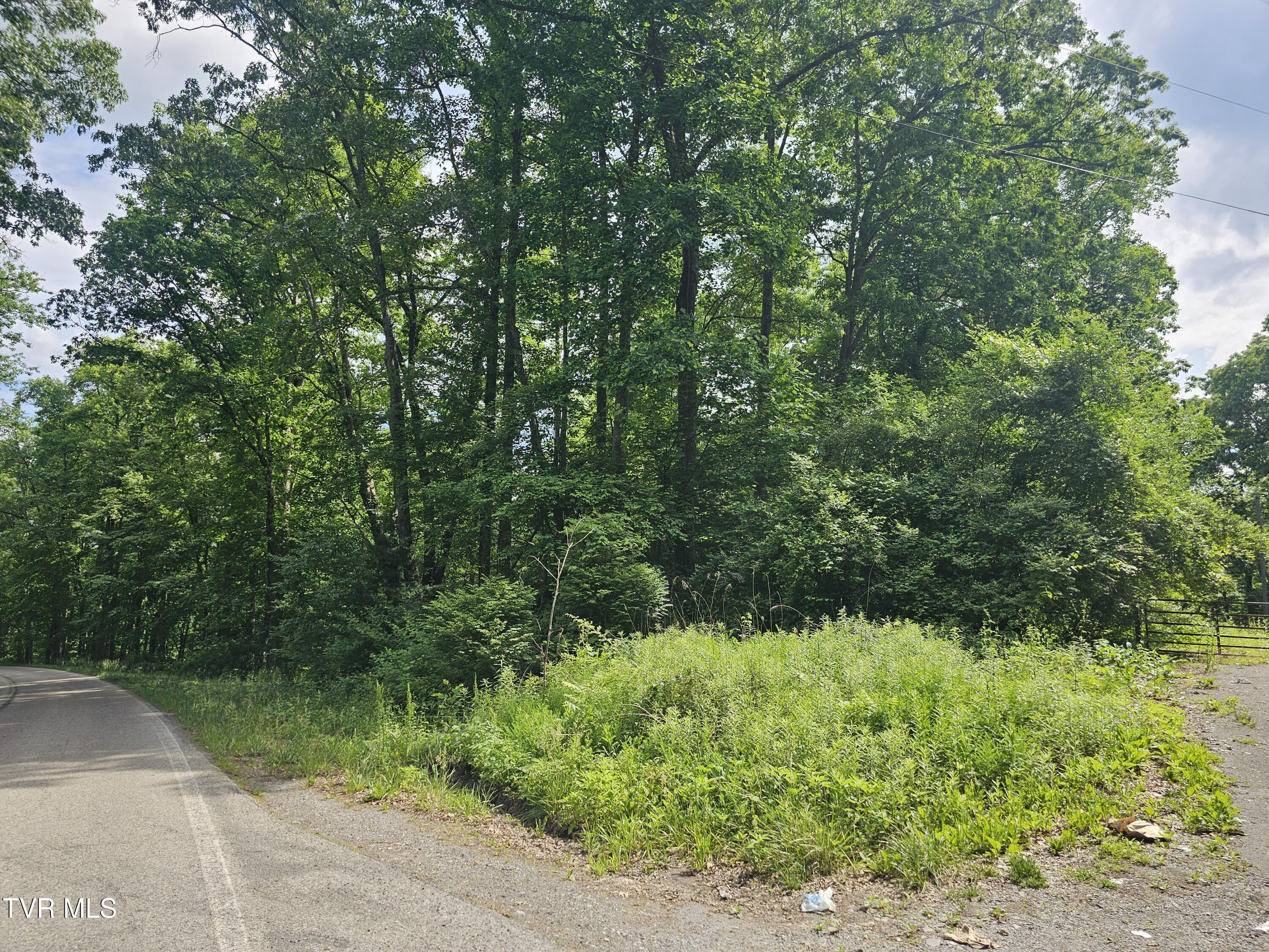 Image 2: 20260531_163145
