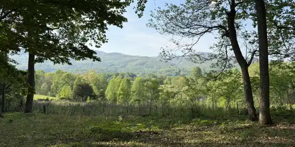 Tbd Bobs Hollow Road