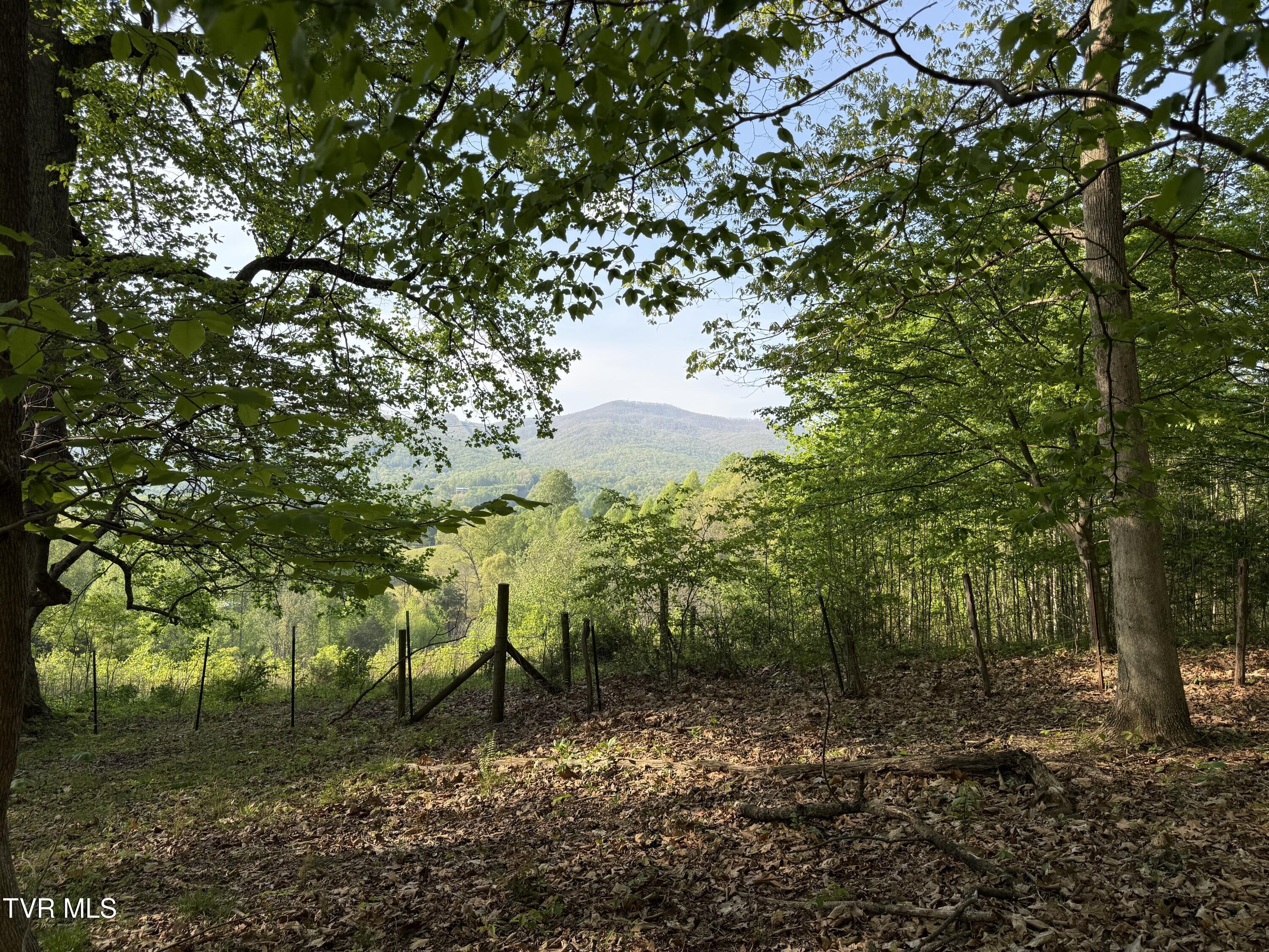 Image 2: IMG_5233