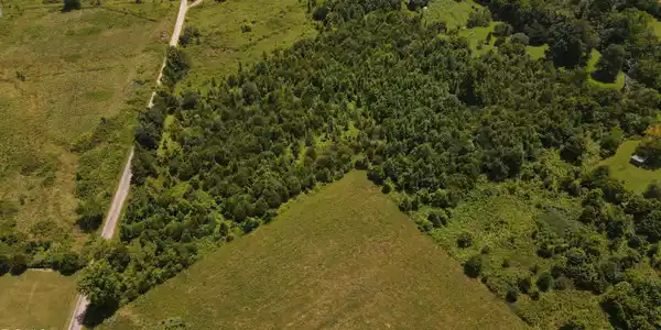 5.14 Ac North Wells Hill Lane
