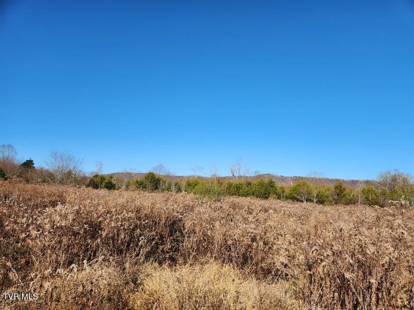 Image 2: N Wells Hill 1