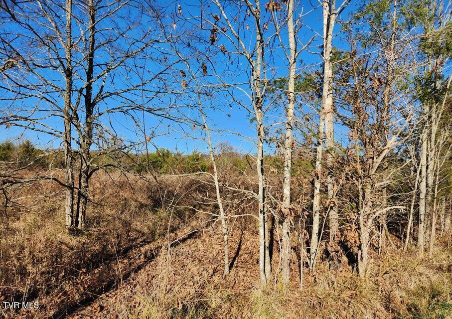 Image 4: N Wells Hill 10