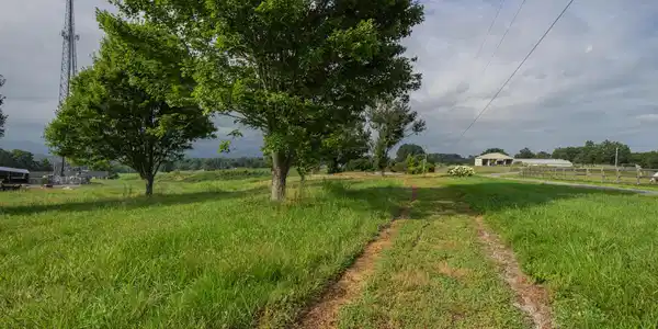 Image 4: 247 Bigwood Rd.-29