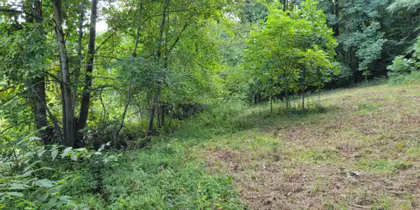 00 Dry Stone Branch Road