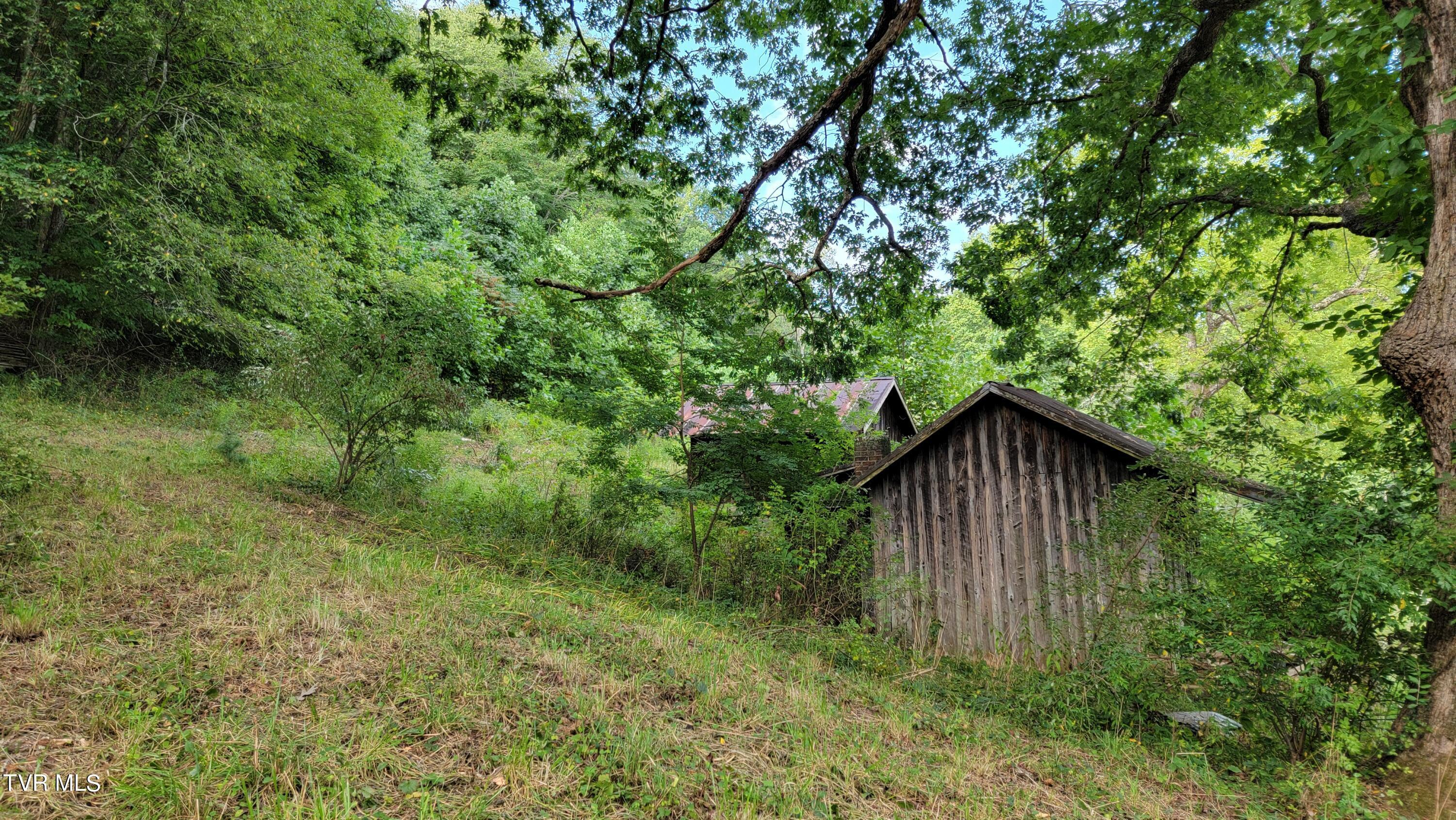 Image 3: 20240903_094503