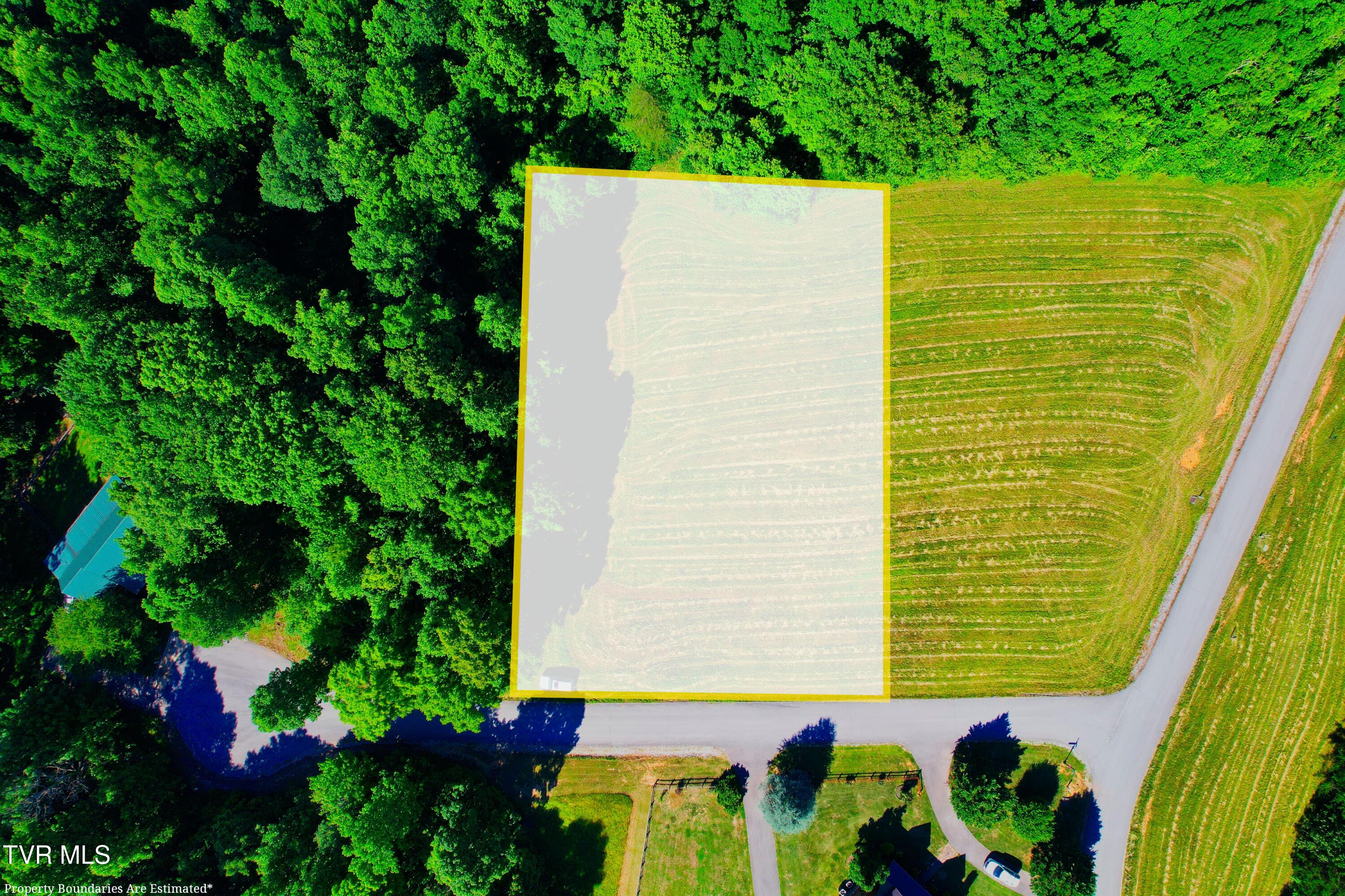 Image 4: Boundary 4