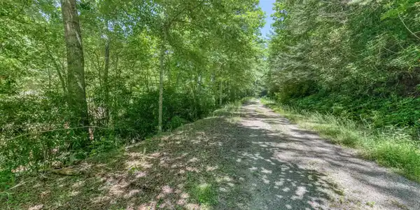 Image 3: TBD Bailey Hollow Rd-51