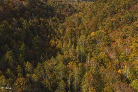 0 Livesay Chapel Road