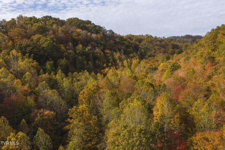 89 Acres Lynn Flanary Road