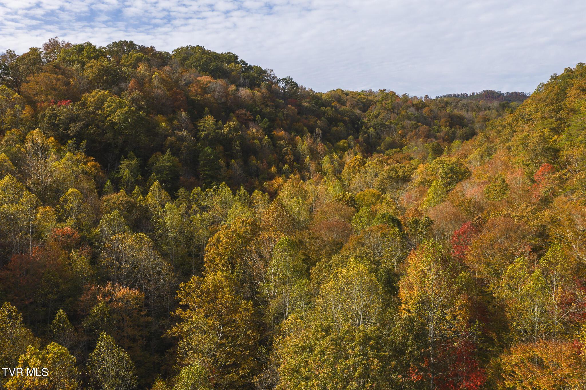 Image 1: DJI_20251025153311_0118_D