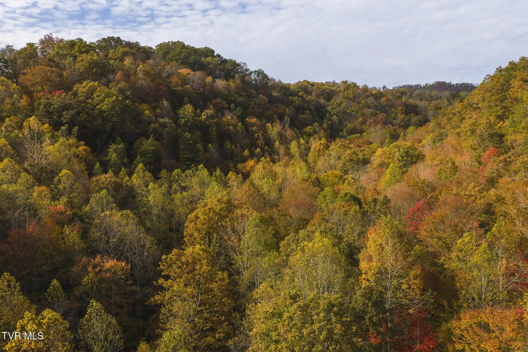 Image 1: DJI_20251025153311_0118_D