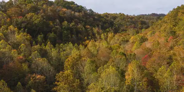 89 Acres Lynn Flanary Road