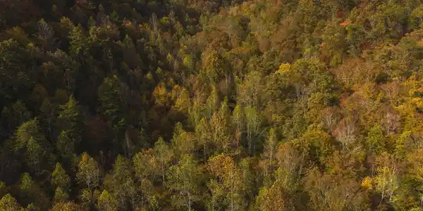 Image 2: DJI_20251025153321_0119_D