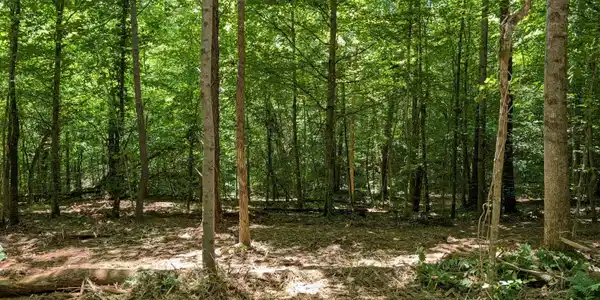 Lot 2 Butcher Valley Road