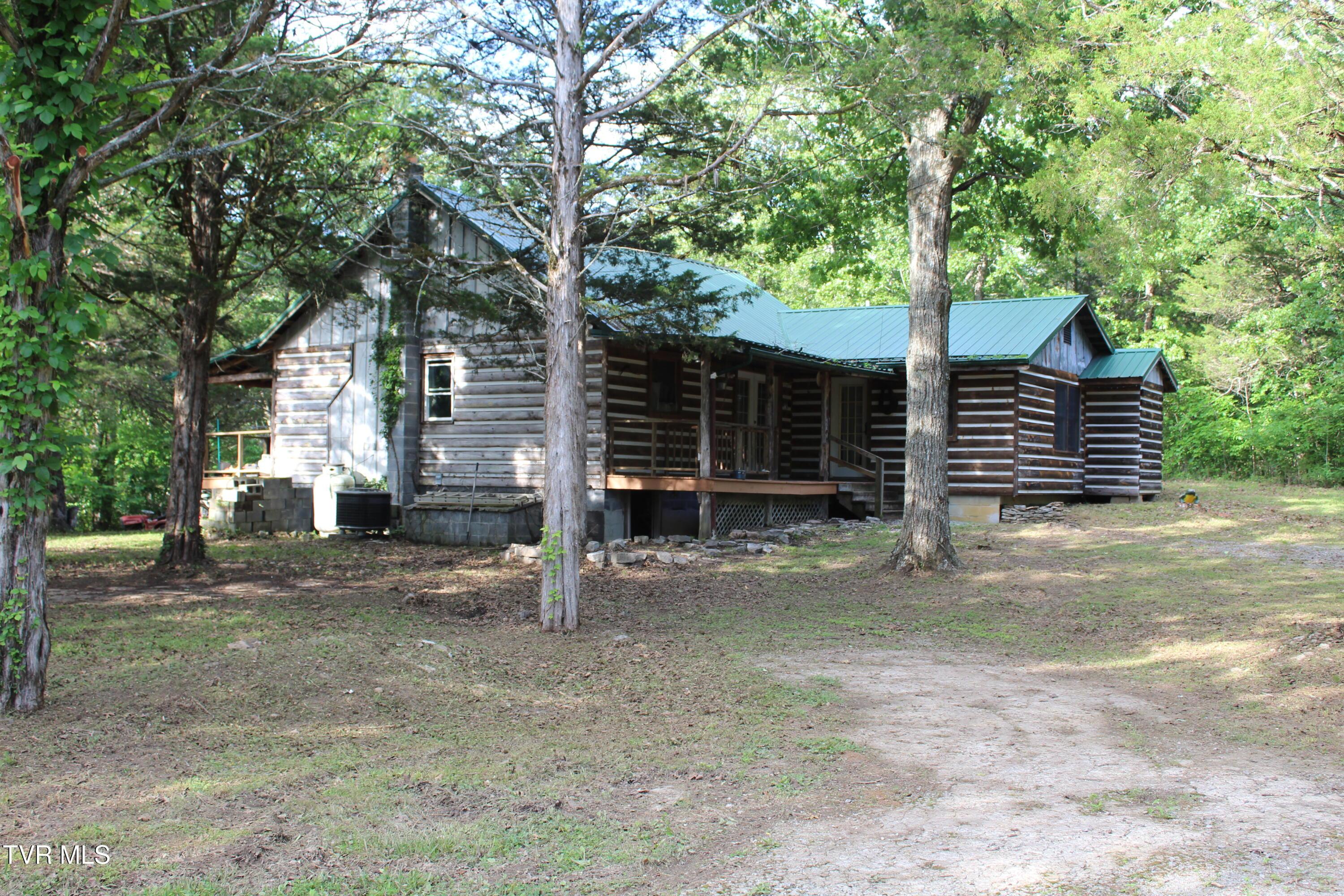 Image 3: IMG_6883