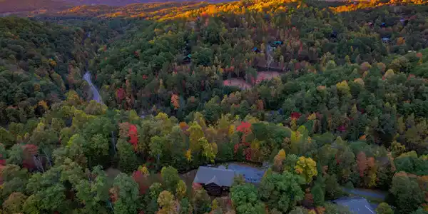 Image 2: Woodcock Drone Twilight-18