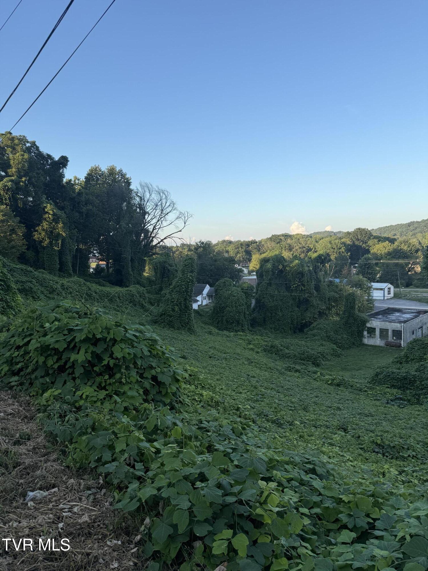 Image 2: image1 (2)