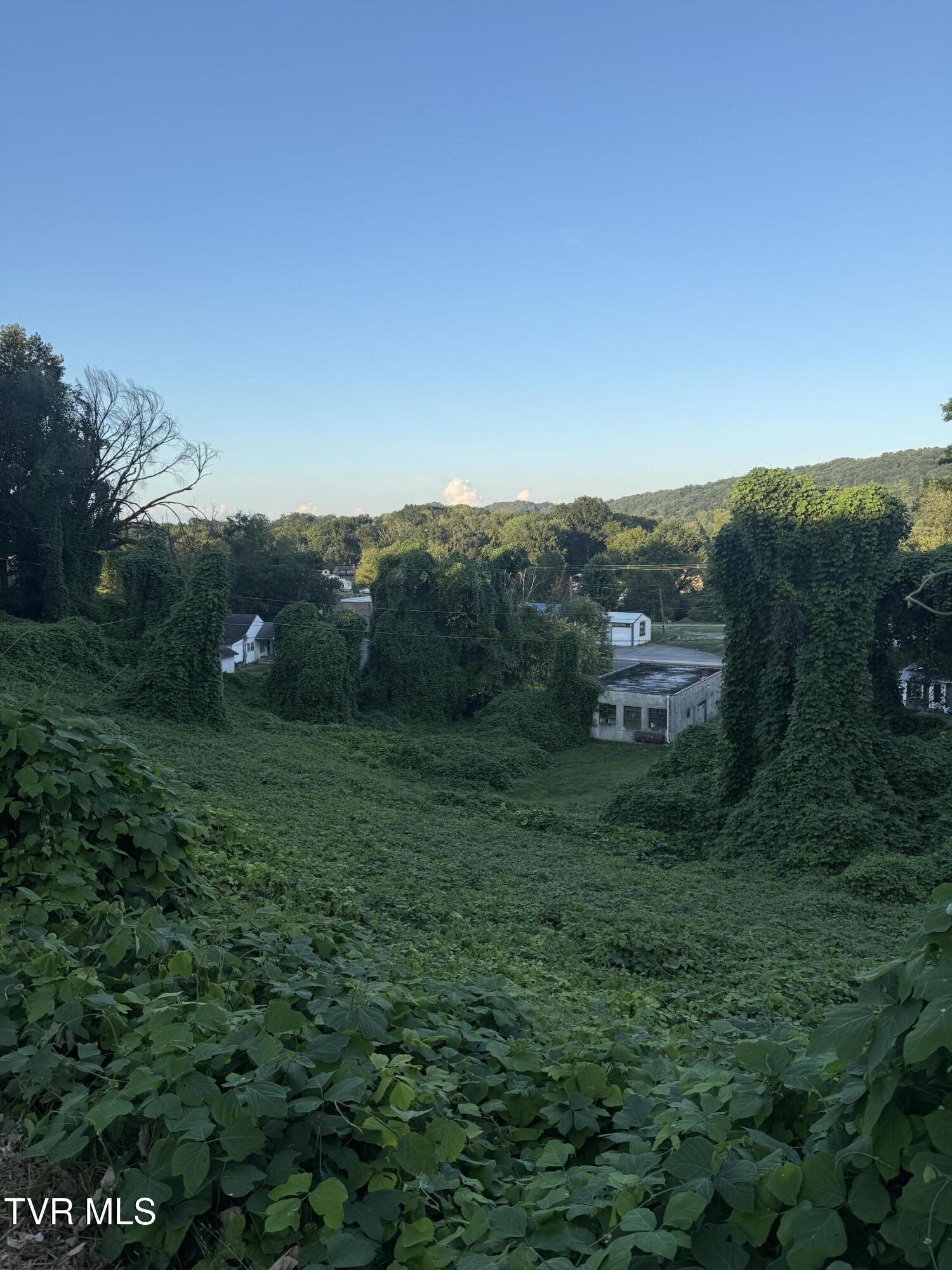 Image 4: image1 (3)