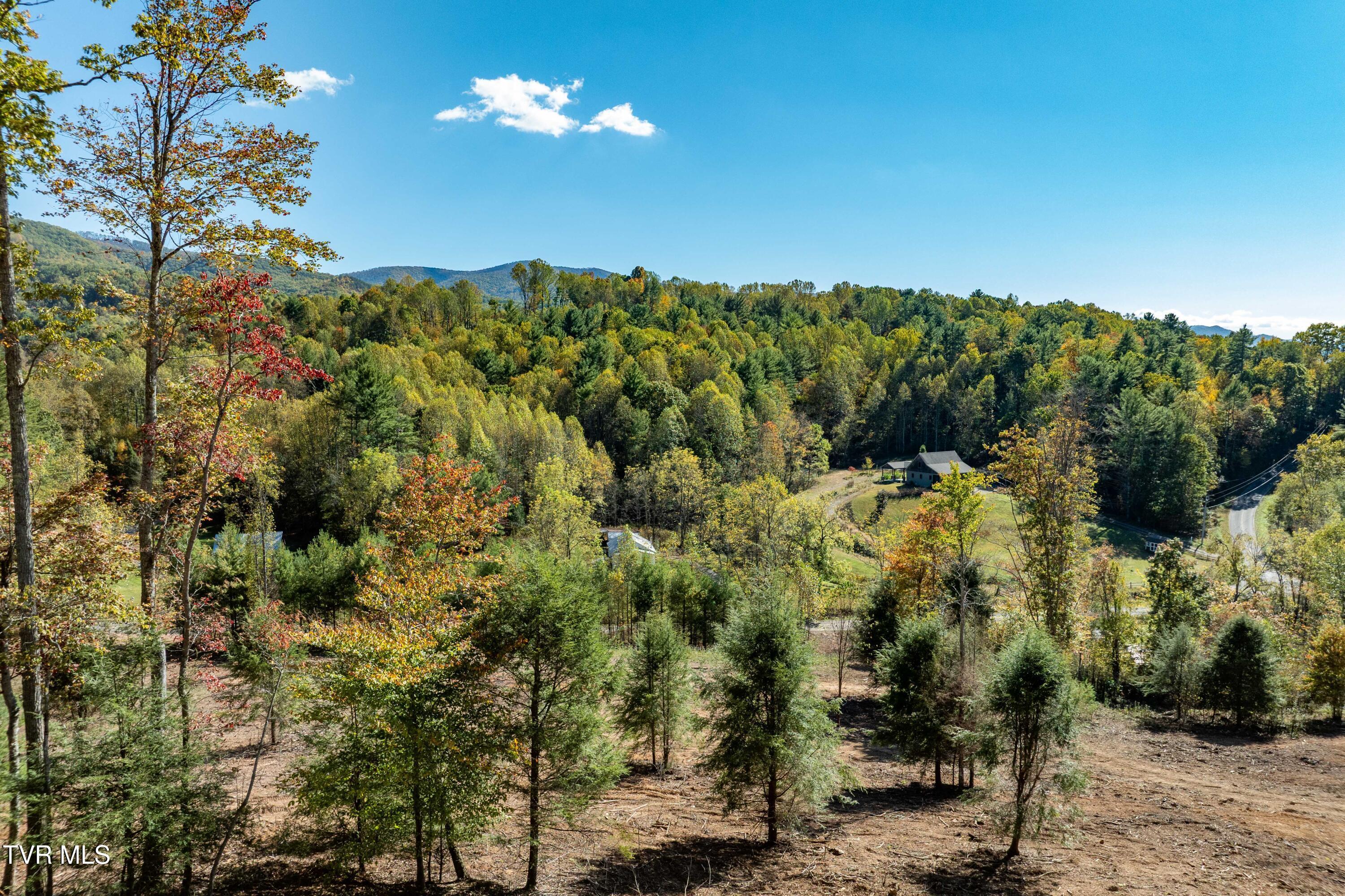 Image 3: TBD Dug Hill Road Lot 2 (23 of 40)