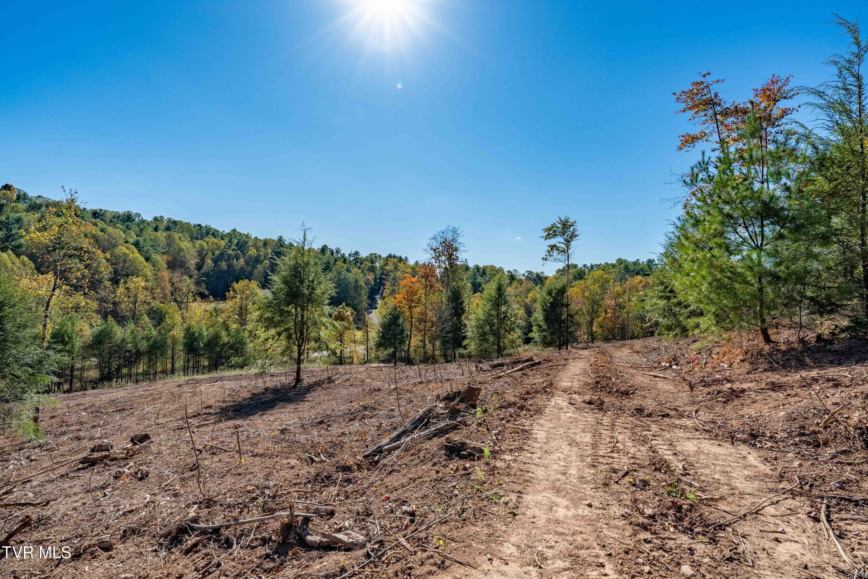 Image 4: TBD Dug Hill Road Lot 2 (33 of 40)