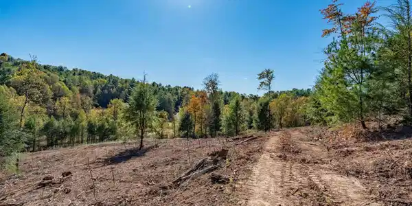 Image 4: TBD Dug Hill Road Lot 2 (33 of 40)