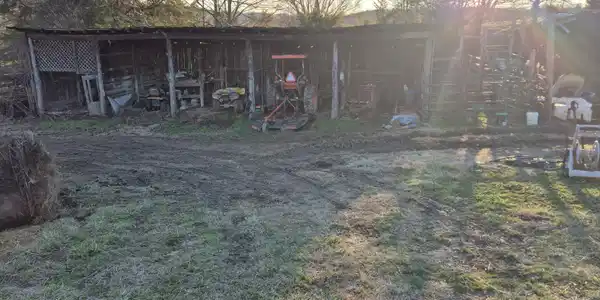 00 Cw Kite Ln