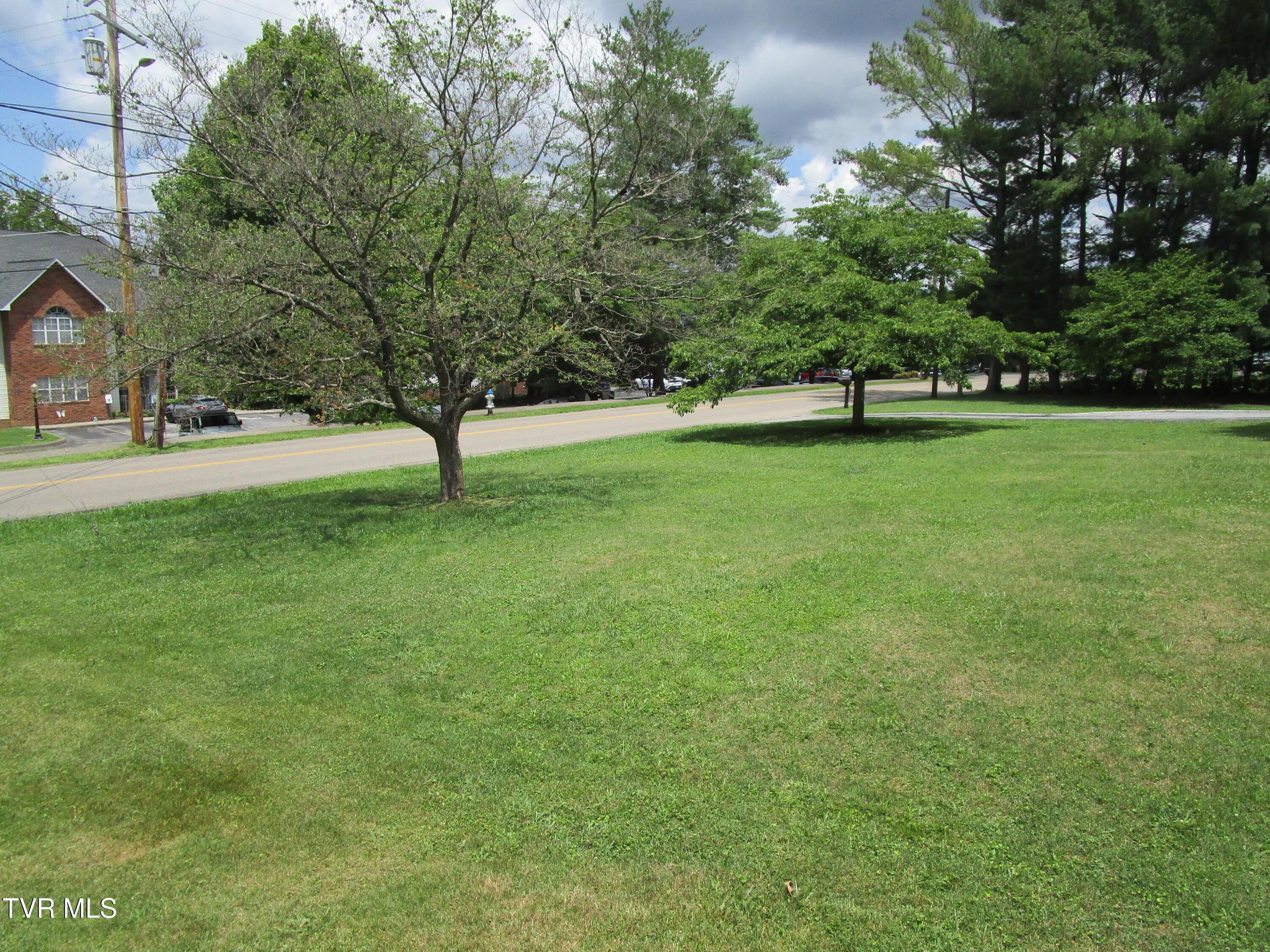 Image 2: IMG_6954