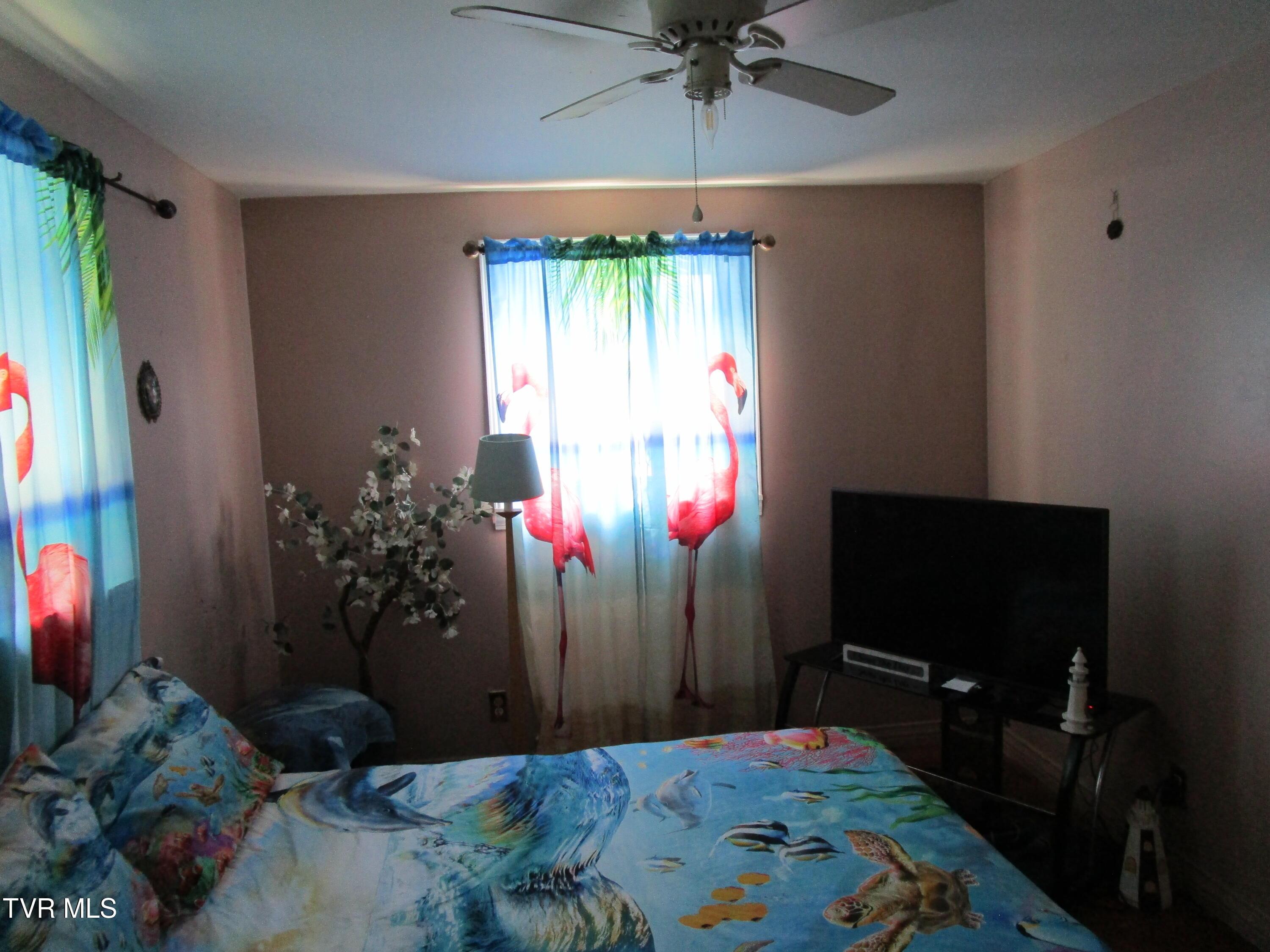 Image 4: IMG_6978