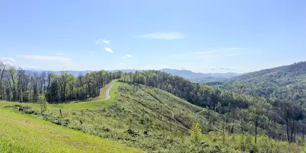 Lot 116 Big Dry Run Road