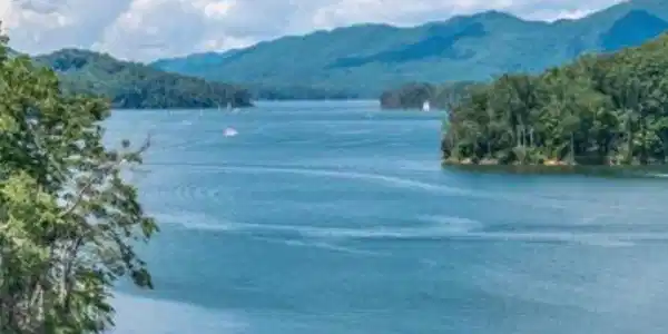 Image 3: cove5