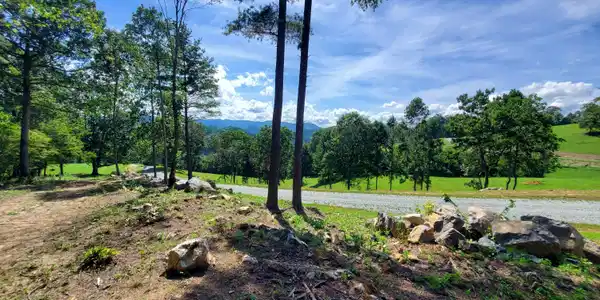 Image 4: 20230813_160143
