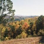 Image 3: Lot-4-Main-Pic-SW-View-150x150