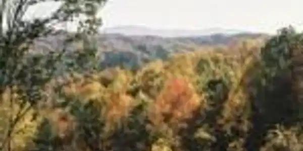 Image 3: Lot-4-Main-Pic-SW-View-150x150