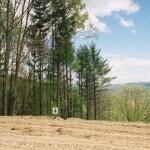Image 4: Lot-4-E-View-Mtn-Range-150x150