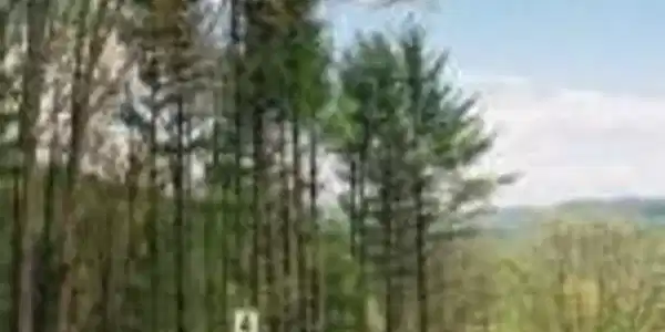 Image 4: Lot-4-E-View-Mtn-Range-150x150