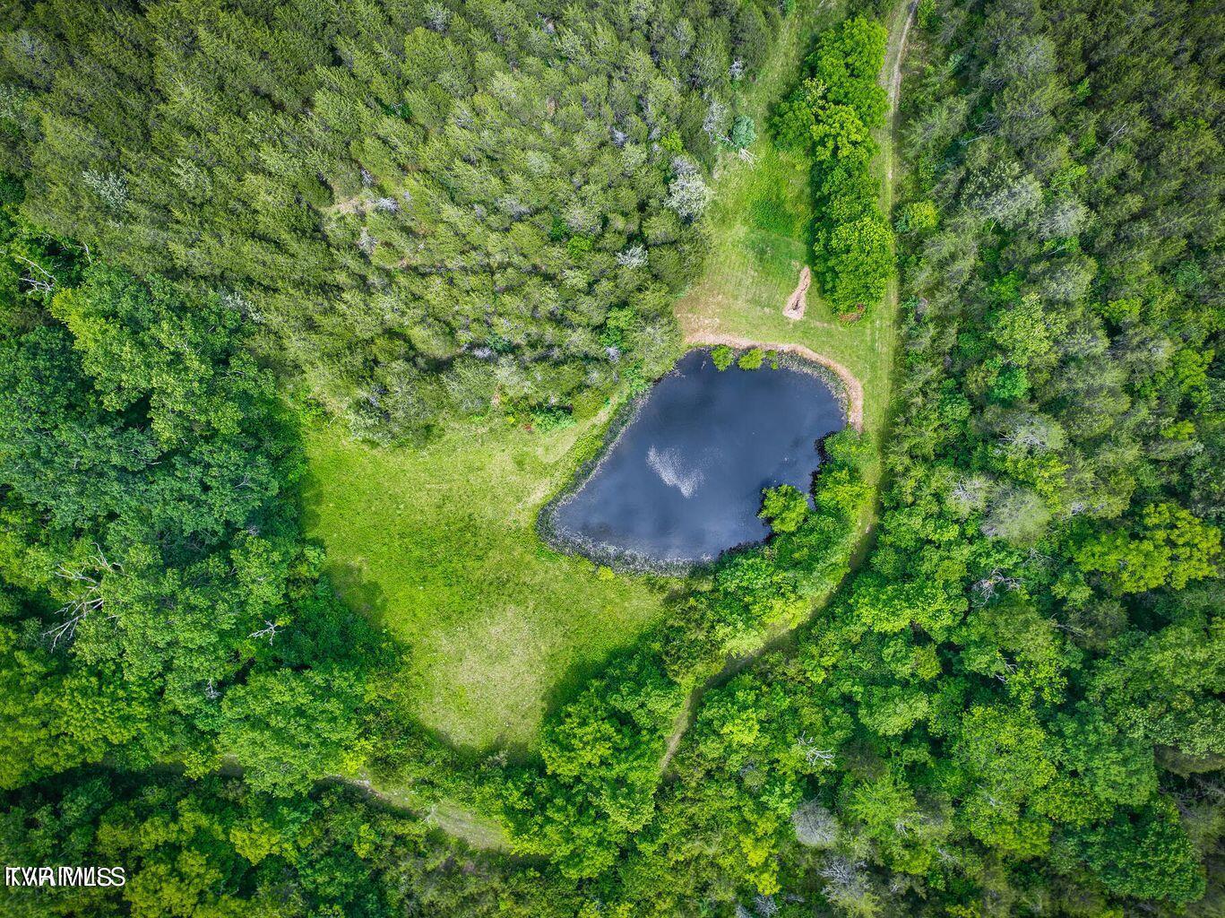 Image 3: 20230712180530605768000000-o