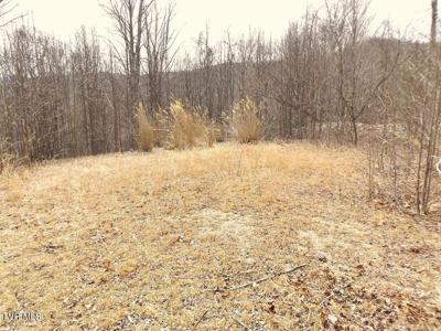 1213 Mays Ridge  Lot 17 Road