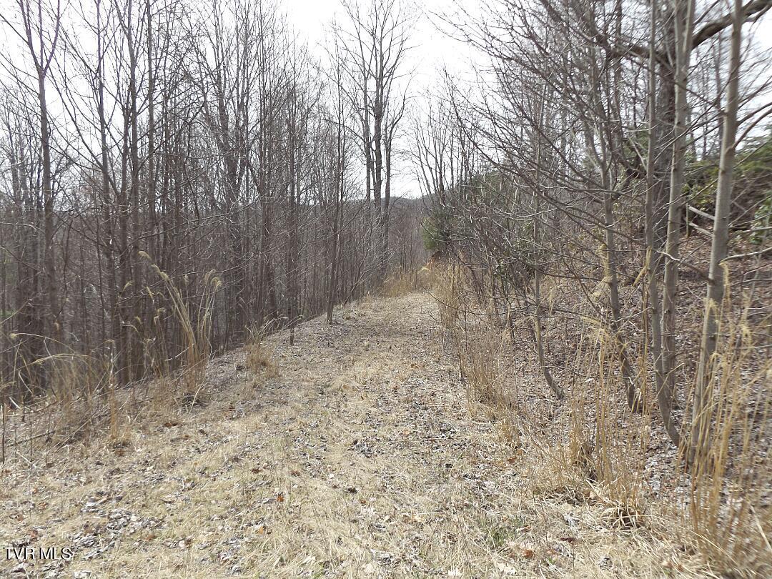 Image 2: Lot17a
