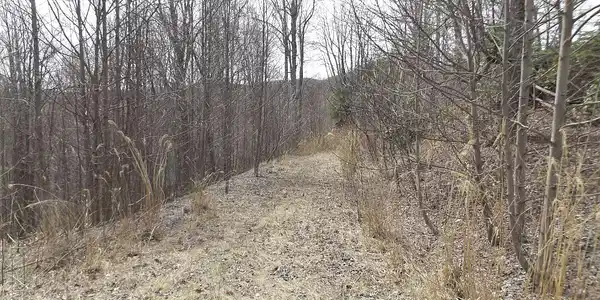 Image 2: Lot17a
