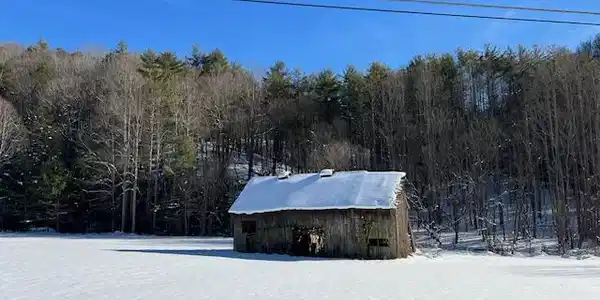 Tbd Forge Creek Rd