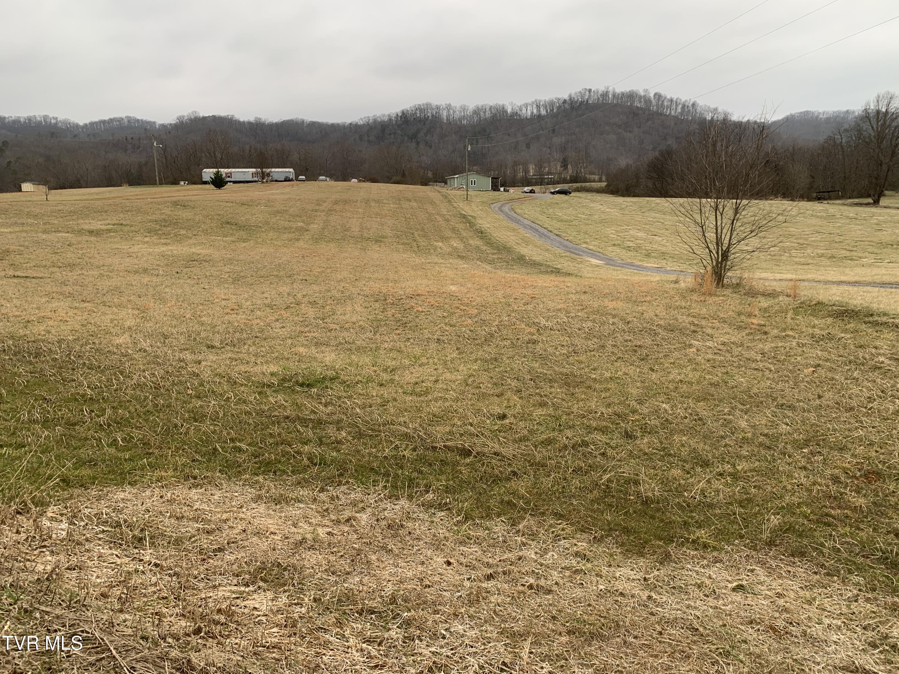 Image 3: IMG_1471
