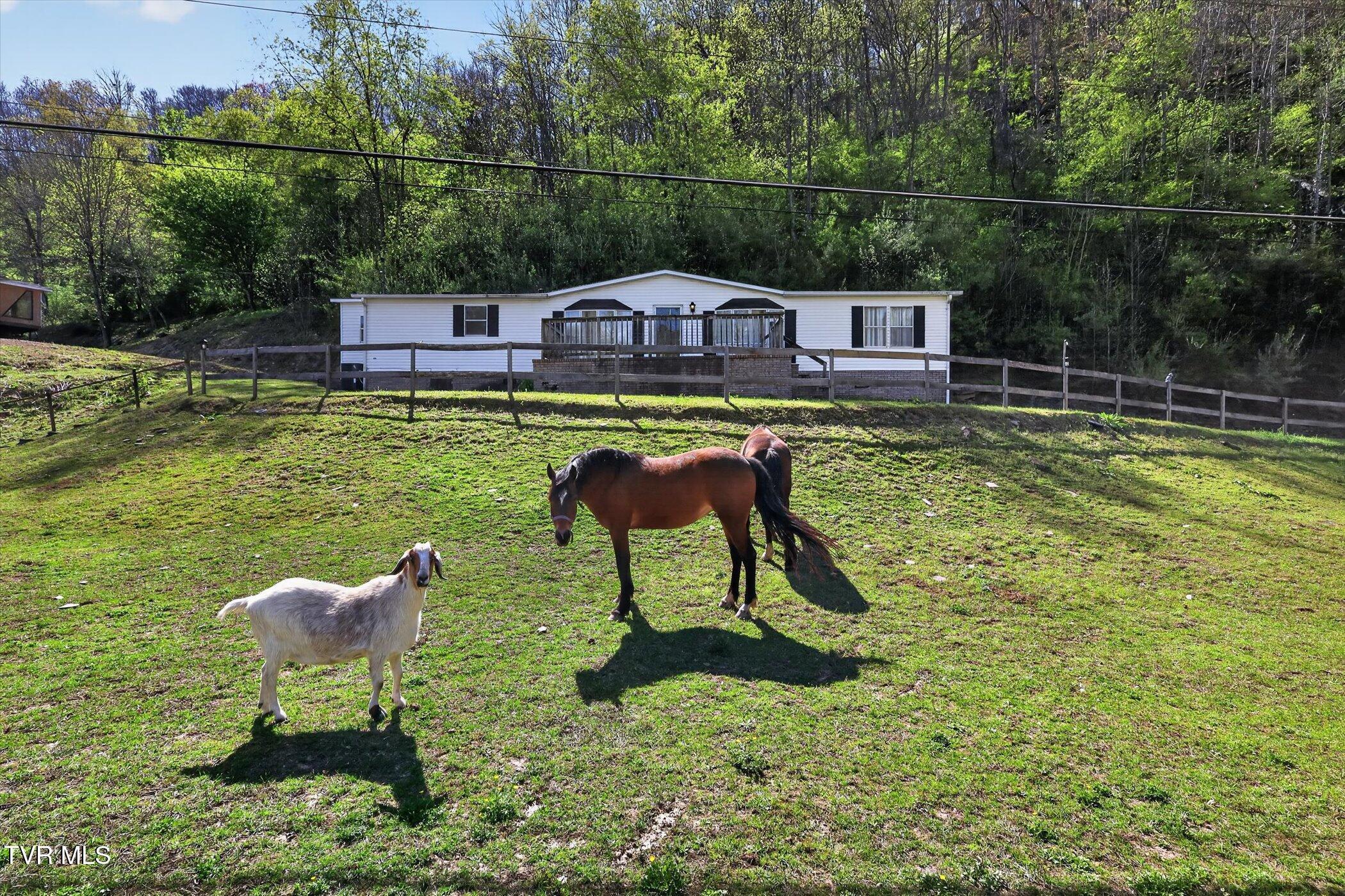 Image 3: 11401 Robinson Hollow RD