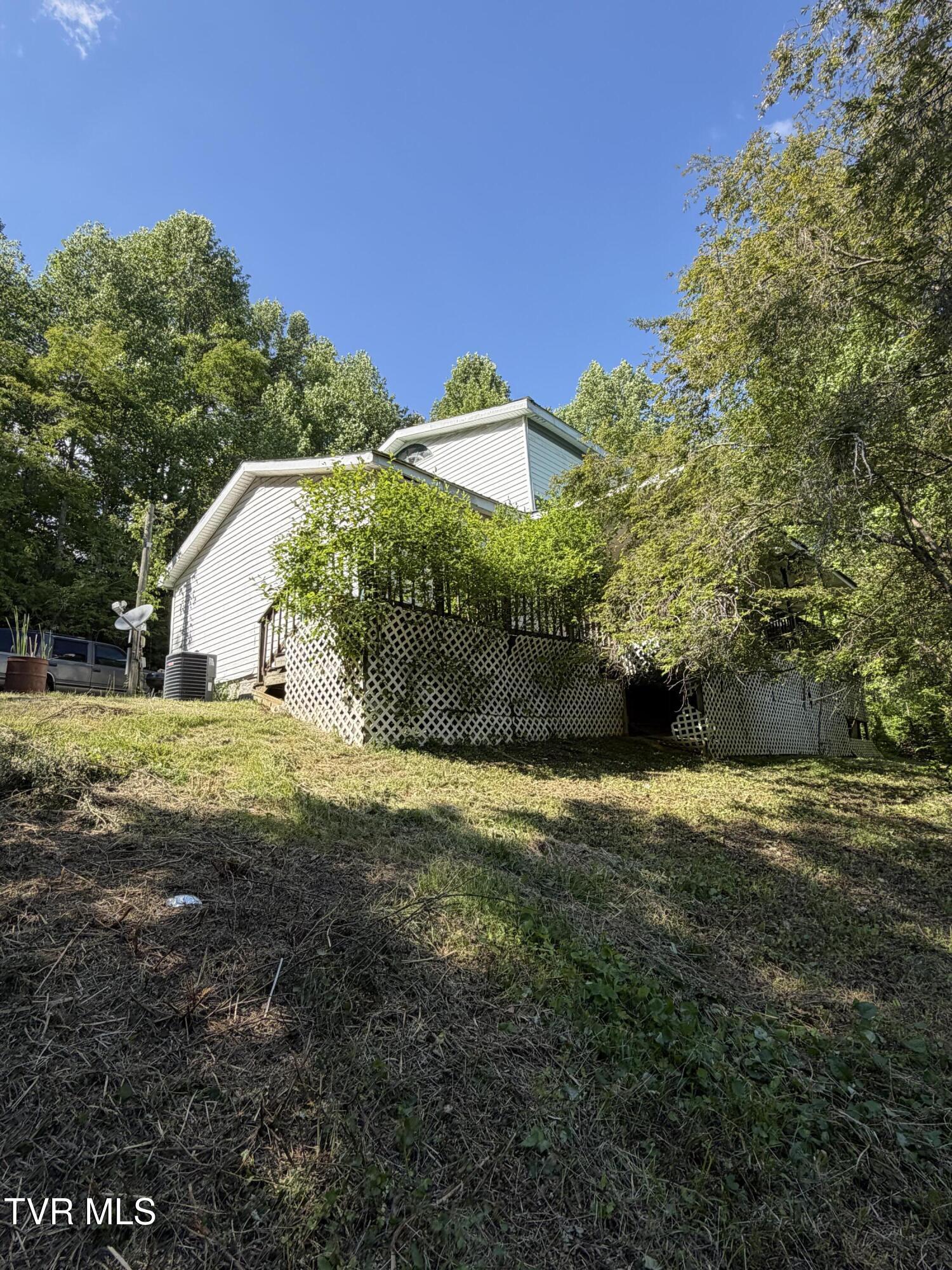 Image 3: IMG_6705