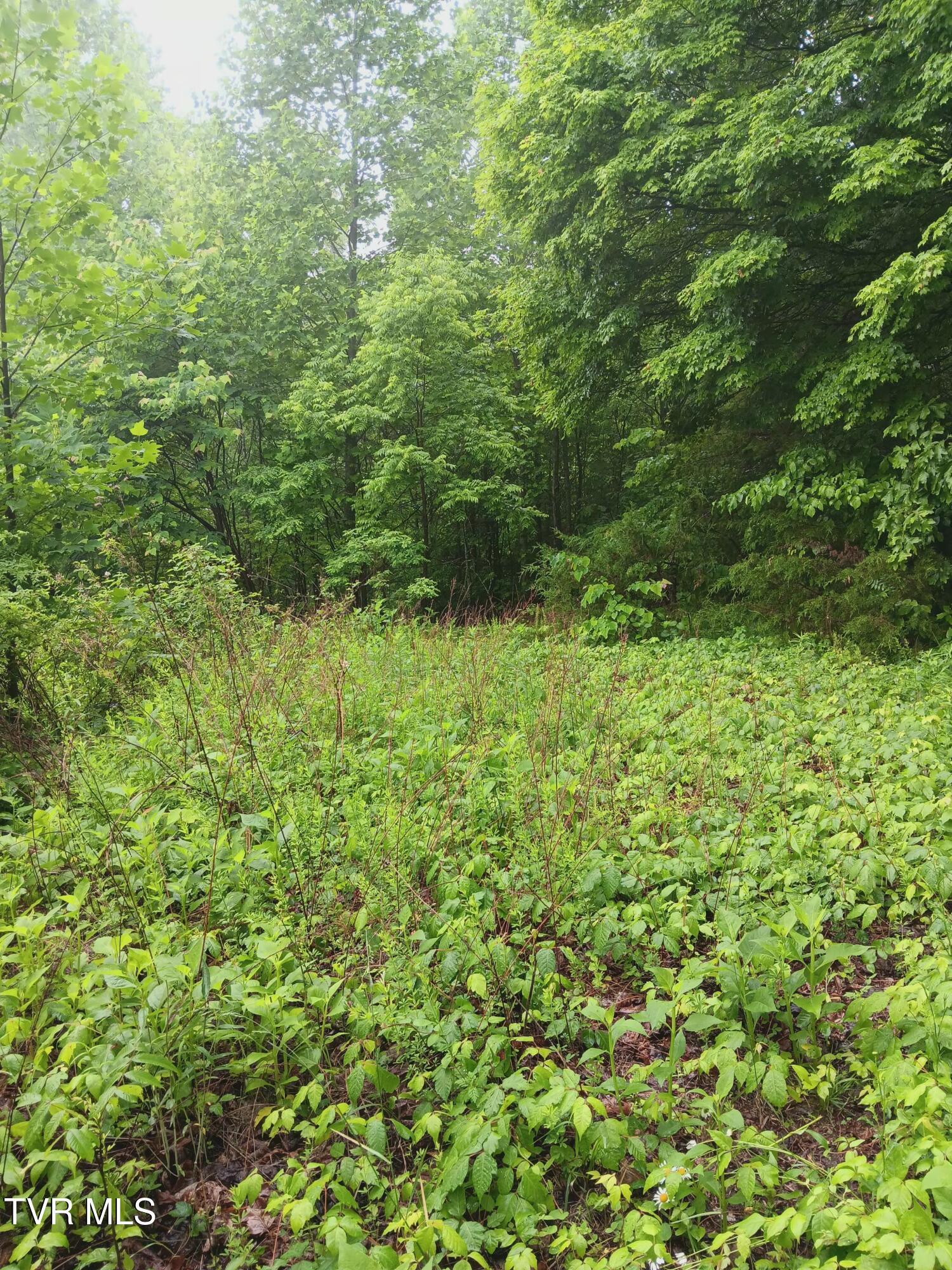 Image 2: 20260522_110453