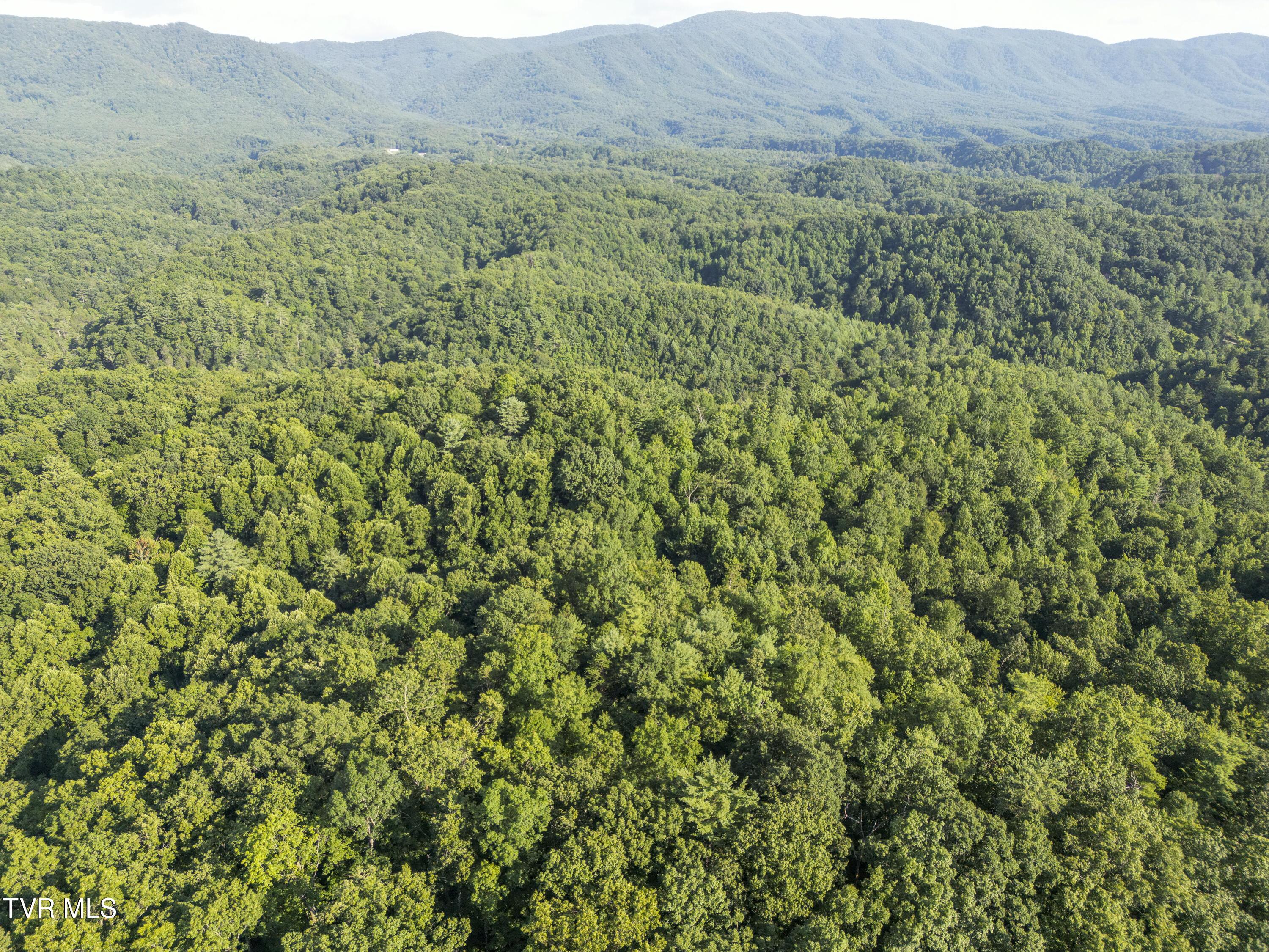 Image 1: 00 Patty-Branch-Bristol-TN-30