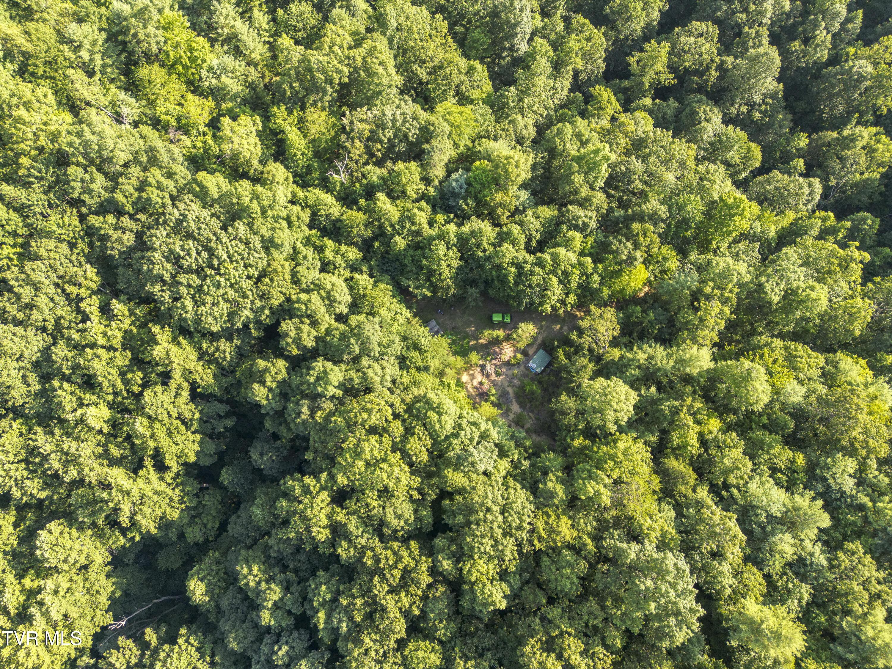 Image 2: 00 Patty-Branch-Bristol-TN-35