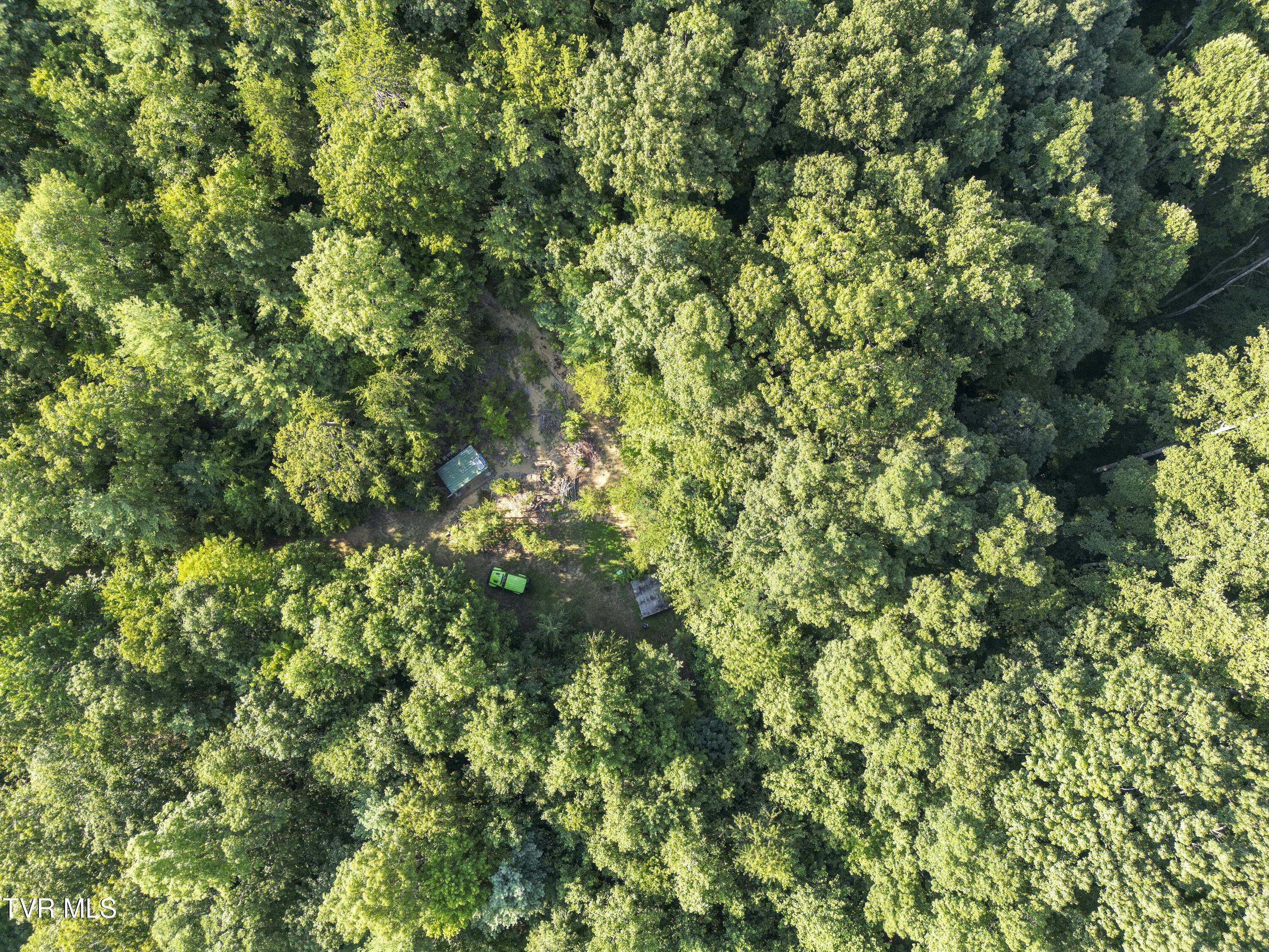 Image 3: 00 Patty-Branch-Bristol-TN-21
